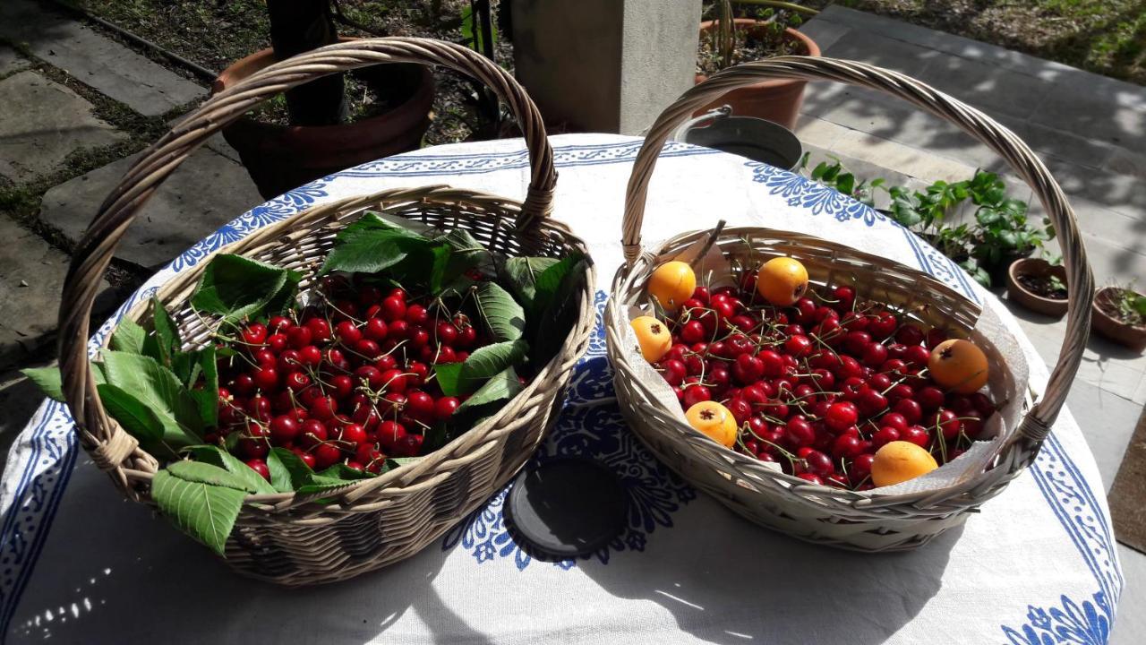 Bed and Breakfast The Italian Riviera San Salvatore  Экстерьер фото