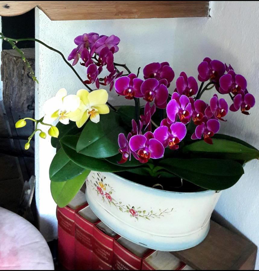 Bed and Breakfast The Italian Riviera San Salvatore  Экстерьер фото