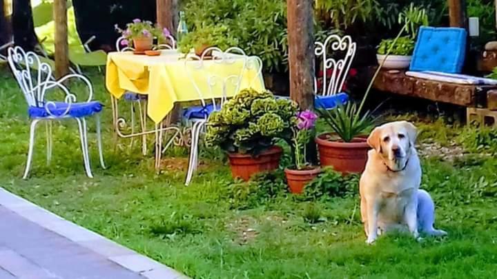 Bed and Breakfast The Italian Riviera San Salvatore  Экстерьер фото